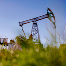 Арбитражный суд РТ начал предбанкротную процедуру нефтесервисной компании «Алнэко»