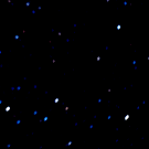 Профессор КФУ: сегодня ночью татарстанцы смогут увидеть пик звездопада Лирид