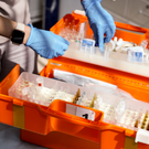 Врач: в первые дни симптомы клещевого энцефалита могут напоминать ОРВИ