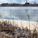 В минэкологии РТ рассказали о результатах анализа воды в озере Кабан после сообщений о пене