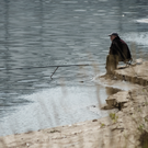 МЧС: В Татарстане завершается паводок