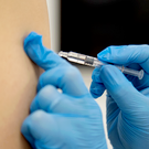 В Казани заметили дефицит вакцины от клещевого энцефалита