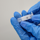 В Роспотребнадзоре по РТ рассказали, где клещи активнее всего