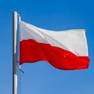 Польша передала России археолога Бутягина