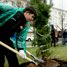 Метшин и активисты высадили 40 кедров у ж/д вокзала Казань-2