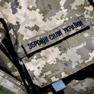 ТАСС: Хантавирус распространяется на Украине