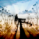 Стоимость нефти Brent превысила $111 за баррель на фоне заявлений Трампа по Ирану