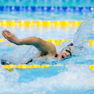 Представители European Aquatics приедут в Казань для обсуждения проведения ЧЕ