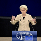 ЕС готовит пакет экономической поддержки для Армении из-за экспортных ограничений РФ