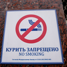 В Госдуме заявили, что в будущем Россия должна прийти к полному запрету вейпов