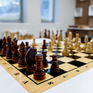 FIDE Аркадия Дворковича приостановила членство федерации шахмат России