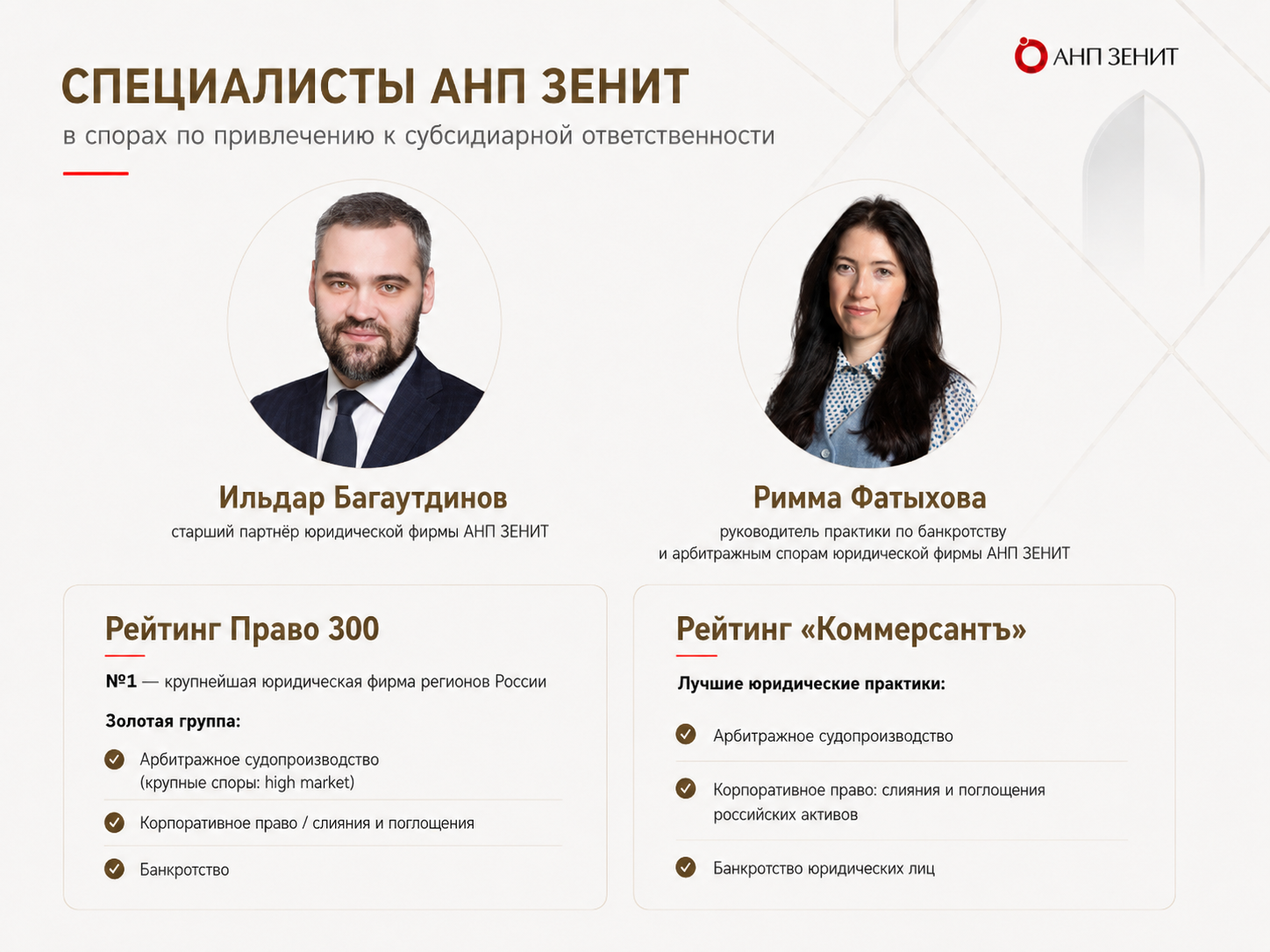 Об экспертах АНП ЗЕНИТ