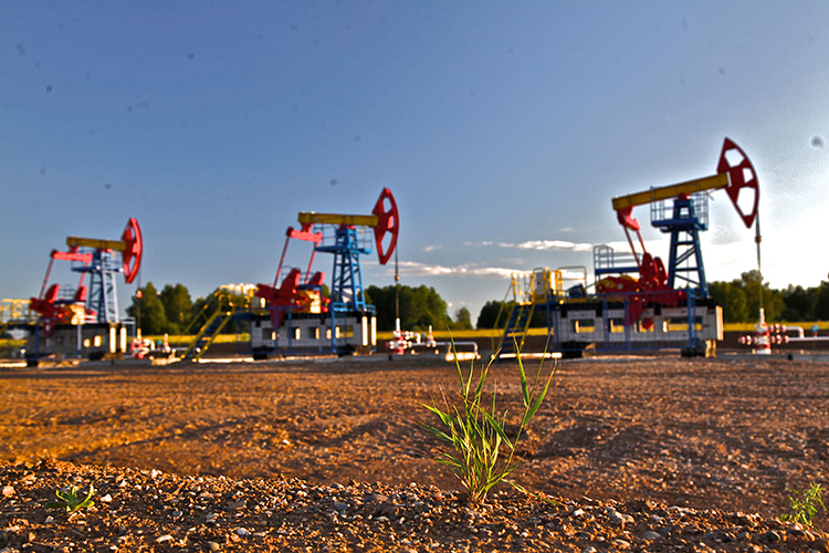 «В стране мощности по нефтепереработке очень асимметричны»