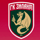 Казанский гандбольный клуб «Зилант» переименуют в «Ак Барс»
