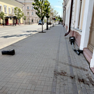 В центре Казани автомобиль снес столб и задел здание института