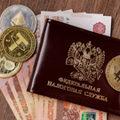 «Известия»: ФНС усилит контроль за семейными компаниями