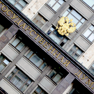 ЦИК обнаружил у кандидатов от Татарстана незадекларированное имущество и доходы
