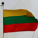 В Литве закрыли аэропорт Вильнюса и подняли самолеты НАТО из-за стаи птиц, принятой за БПЛА
