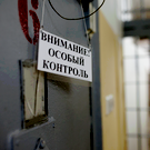 На строительство «ультраколонии» в Татарстане заложили 31 миллиард рублей